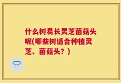 什么树易长灵芝菌菇头呢(哪些树适合种植灵芝、菌菇头？)