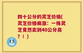 四十公分的灵芝价格(灵芝价格疯涨：一株灵芝竟然卖到40公分高？！)