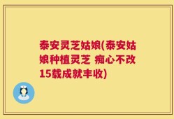 泰安灵芝姑娘(泰安姑娘种植灵芝 痴心不改15载成就丰收)