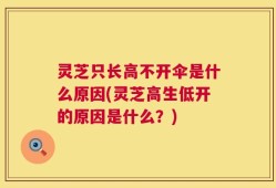 灵芝只长高不开伞是什么原因(灵芝高生低开的原因是什么？)