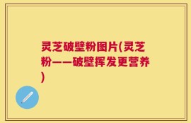 灵芝破壁粉图片(灵芝粉——破壁挥发更营养)