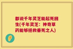 都说千年灵芝能起死回生(千年灵芝：神奇草药能够拯救垂死之人)