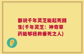 都说千年灵芝能起死回生(千年灵芝：神奇草药能够拯救垂死之人)