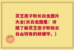 灵芝孢子粉长白虫图片大全(长白虫图集：详细了解灵芝孢子粉和长白山特有的蛴螬学。)