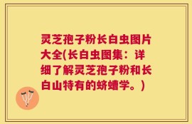 灵芝孢子粉长白虫图片大全(长白虫图集：详细了解灵芝孢子粉和长白山特有的蛴螬学。)