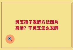 灵芝孢子发酵方法图片高清？干灵芝怎么发酵