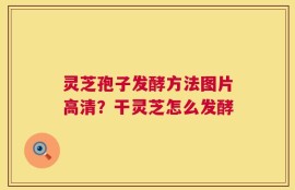 灵芝孢子发酵方法图片高清？干灵芝怎么发酵
