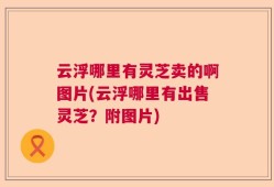 云浮哪里有灵芝卖的啊图片(云浮哪里有出售灵芝？附图片)
