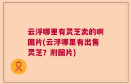 云浮哪里有灵芝卖的啊图片(云浮哪里有出售灵芝？附图片)