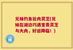 兄妹钓鱼捡肉灵芝(兄妹在湖边巧遇宝贵灵芝与大肉，好运降临！)