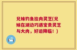 兄妹钓鱼捡肉灵芝(兄妹在湖边巧遇宝贵灵芝与大肉，好运降临！)