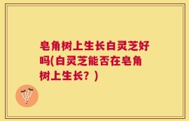 皂角树上生长白灵芝好吗(白灵芝能否在皂角树上生长？)