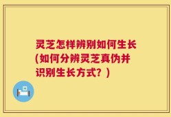 灵芝怎样辨别如何生长(如何分辨灵芝真伪并识别生长方式？)