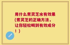 用什么煮灵芝水有效果(煮灵芝的正确方法，让你轻松喝到有效成分！)
