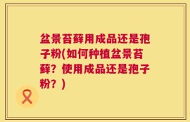 盆景苔藓用成品还是孢子粉(如何种植盆景苔藓？使用成品还是孢子粉？)