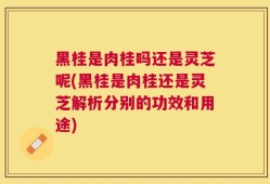 黑桂是肉桂吗还是灵芝呢(黑桂是肉桂还是灵芝解析分别的功效和用途)