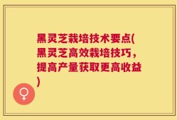 黑灵芝栽培技术要点(黑灵芝高效栽培技巧，提高产量获取更高收益)