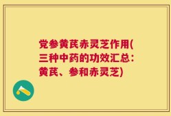党参黄芪赤灵芝作用(三种中药的功效汇总：黄芪、参和赤灵芝)