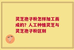 灵芝孢子粉怎样加工而成的？人工种植灵芝与灵芝孢子粉区别
