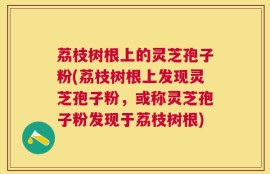 荔枝树根上的灵芝孢子粉(荔枝树根上发现灵芝孢子粉，或称灵芝孢子粉发现于荔枝树根)