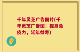 千年灵芝广告图片(千年灵芝广告图：提高免疫力，延年益寿)