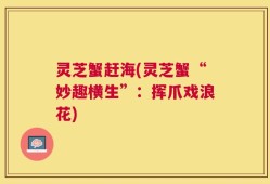 灵芝蟹赶海(灵芝蟹“妙趣横生”：挥爪戏浪花)