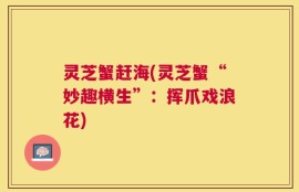 灵芝蟹赶海(灵芝蟹“妙趣横生”：挥爪戏浪花)