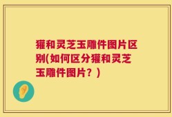 獾和灵芝玉雕件图片区别(如何区分獾和灵芝玉雕件图片？)