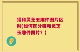 獾和灵芝玉雕件图片区别(如何区分獾和灵芝玉雕件图片？)