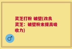 灵芝打粉 破壁(改良灵芝：破壁粉末提高吸收力)