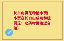 长白山灵芝种植小贾(小贾在长白山成功种植灵芝：让药材更接近自然)