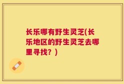 长乐哪有野生灵芝(长乐地区的野生灵芝去哪里寻找？)