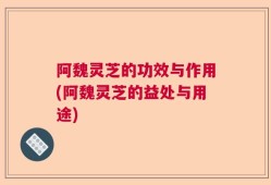 阿魏灵芝的功效与作用(阿魏灵芝的益处与用途)