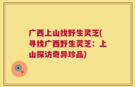 广西上山找野生灵芝(寻找广西野生灵芝：上山探访奇异珍品)