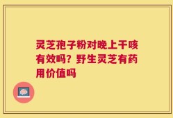 灵芝孢子粉对晚上干咳有效吗？野生灵芝有药用价值吗