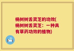 杨树树舌灵芝的功效(杨树树舌灵芝：一种具有草药功效的植物)