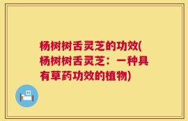 杨树树舌灵芝的功效(杨树树舌灵芝：一种具有草药功效的植物)