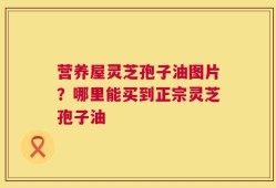 营养屋灵芝孢子油图片？哪里能买到正宗灵芝孢子油