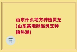 山东什么地方种植灵芝(山东某地掀起灵芝种植热潮)