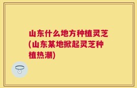 山东什么地方种植灵芝(山东某地掀起灵芝种植热潮)