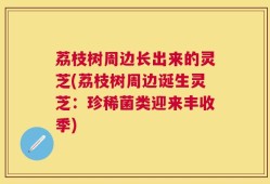 荔枝树周边长出来的灵芝(荔枝树周边诞生灵芝：珍稀菌类迎来丰收季)