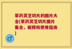 草药灵芝切片的图片大全(草药灵芝切片图片集合，解释和使用指南)