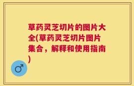 草药灵芝切片的图片大全(草药灵芝切片图片集合，解释和使用指南)