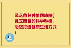 灵芝菌包种植摆放图(灵芝菌包的科学种植，助您打造健康生活方式)