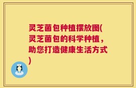 灵芝菌包种植摆放图(灵芝菌包的科学种植，助您打造健康生活方式)