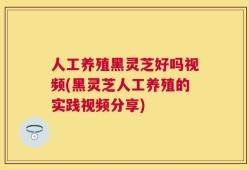 人工养殖黑灵芝好吗视频(黑灵芝人工养殖的实践视频分享)