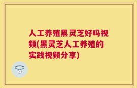 人工养殖黑灵芝好吗视频(黑灵芝人工养殖的实践视频分享)