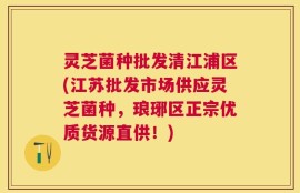 灵芝菌种批发清江浦区(江苏批发市场供应灵芝菌种，琅琊区正宗优质货源直供！)