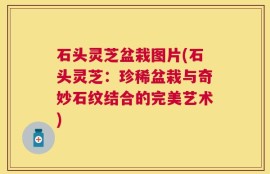 石头灵芝盆栽图片(石头灵芝：珍稀盆栽与奇妙石纹结合的完美艺术)