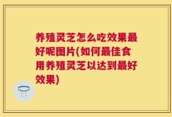 养殖灵芝怎么吃效果最好呢图片(如何最佳食用养殖灵芝以达到最好效果)